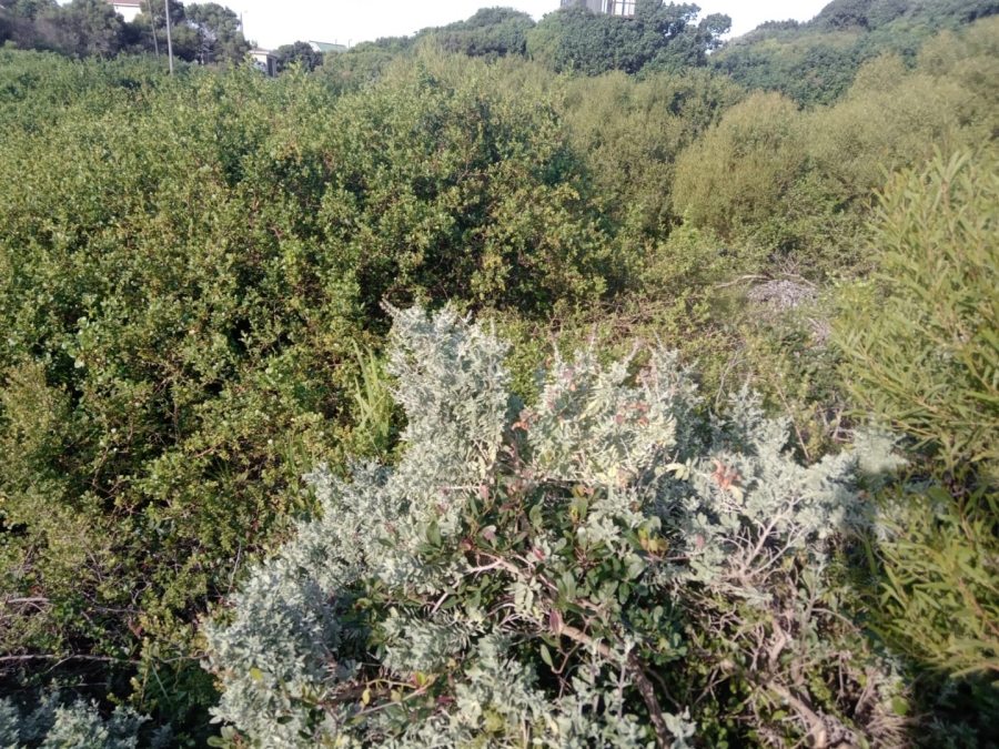 Commercial Property for Sale in Paradise Beach Eastern Cape
